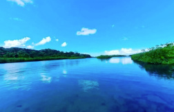 Paga $39: Tour a Venas Azules
