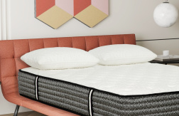 Paga $19.99: Almohada Majesty Memory Foam