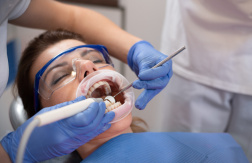 Desde $24.99: Servicios Dentales