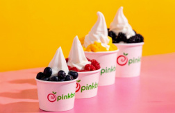 Paga $6.50: Helados, Yogurt y Más