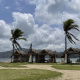 Paga $35: Pasadía en Isla Mamey thumbnail 3