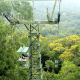 Paga $89: Tour Familiar en Teleférico thumbnail 6