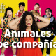 Paga $12: Obra de Teatro thumbnail 1