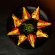 Paga $20: Gastronomía Japonesa Fusión thumbnail 3