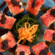 Paga $15: Comida Internacional Gourmet thumbnail 4