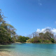 Paga $30: Pasadía a Playa Blanca thumbnail 6