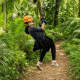 Paga $49: Tour de Canopy thumbnail 5