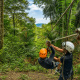 Paga $49: Tour de Canopy thumbnail 12