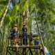 Paga $49: Tour de Canopy thumbnail 16