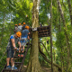 Paga $49: Tour de Canopy thumbnail 17