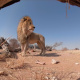Desde $10.40: Experiencia de Realidad Virtual thumbnail 3