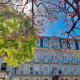 Desde $155: Hospedaje en Hotel Histórico thumbnail 1