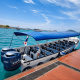 Paga $73.50: Avistamiento de Ballenas thumbnail 7