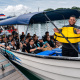 Paga $73.50: Avistamiento de Ballenas thumbnail 9