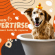 Desde $7: Baño y Guardería Para Perros thumbnail 1