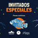 Paga $9: Noche en el Biomuseo thumbnail 5