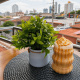 Desde $5: Café y Coworking thumbnail 5