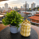 Desde $5: Café y Coworking thumbnail 7