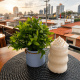 Desde $5: Café y Coworking thumbnail 8