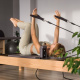 Desde $35: Pilates Reformer thumbnail 1