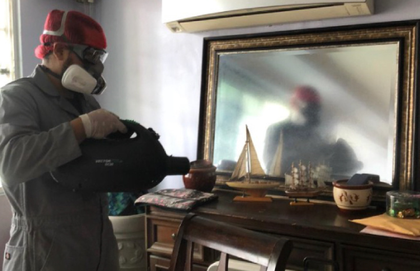 Desde $18: Fumigación y Desinfección