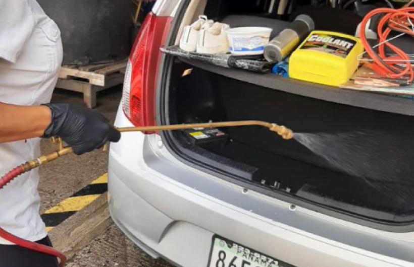 Desde $18: Fumigación y Desinfección