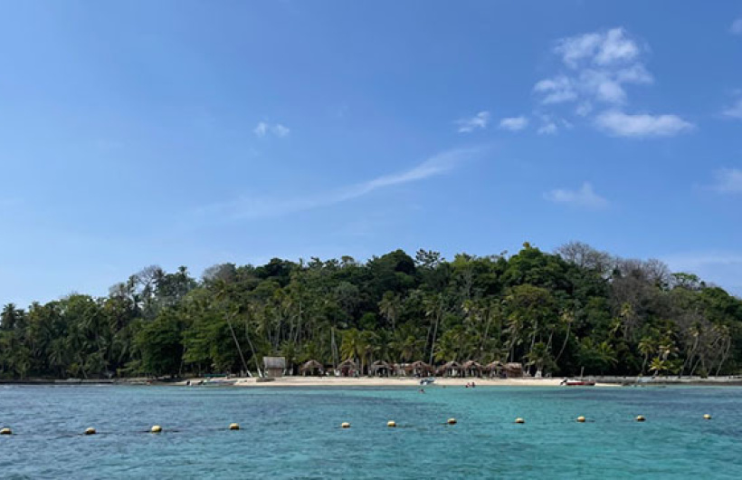 Paga $35: Pasadía en Isla Mamey
