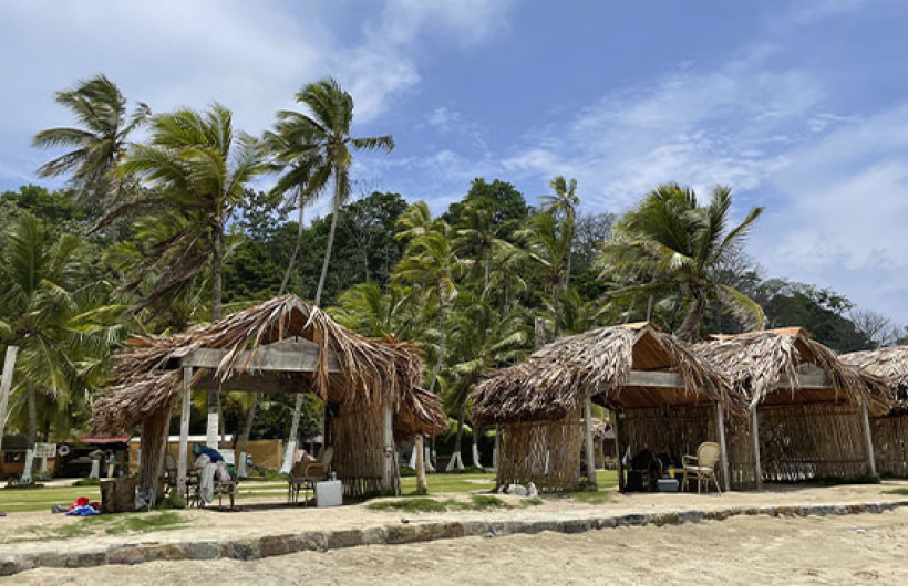 Paga $35: Pasadía en Isla Mamey