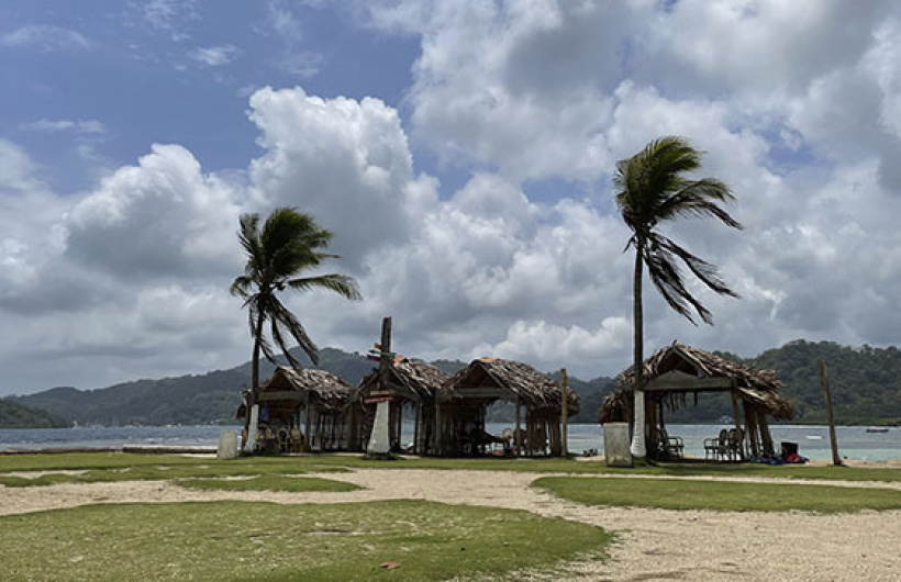 Paga $35: Pasadía en Isla Mamey