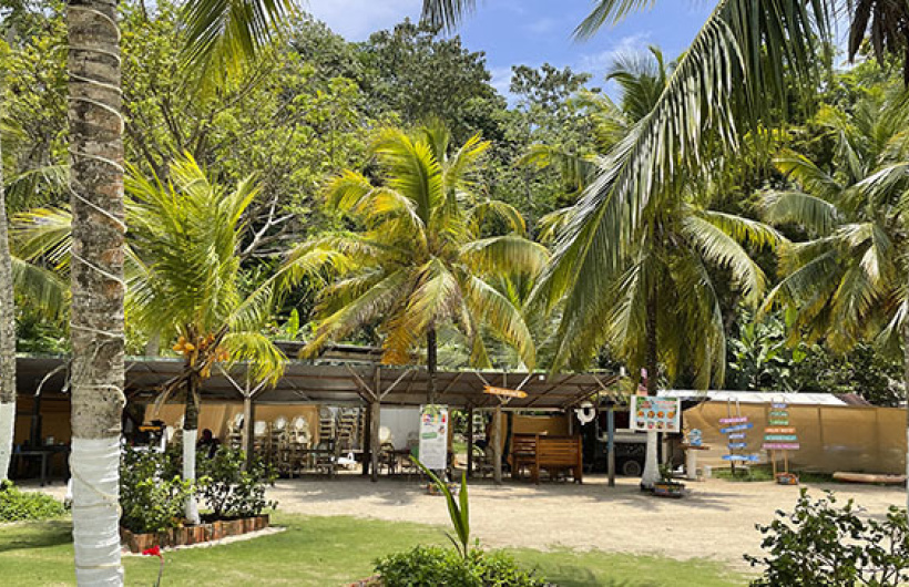 Paga $35: Pasadía en Isla Mamey