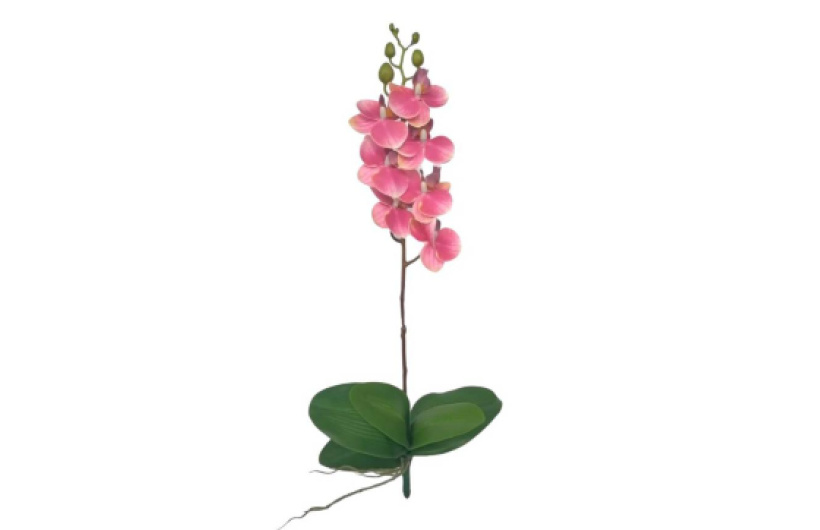$3.63 por Orquídea Decorativa
