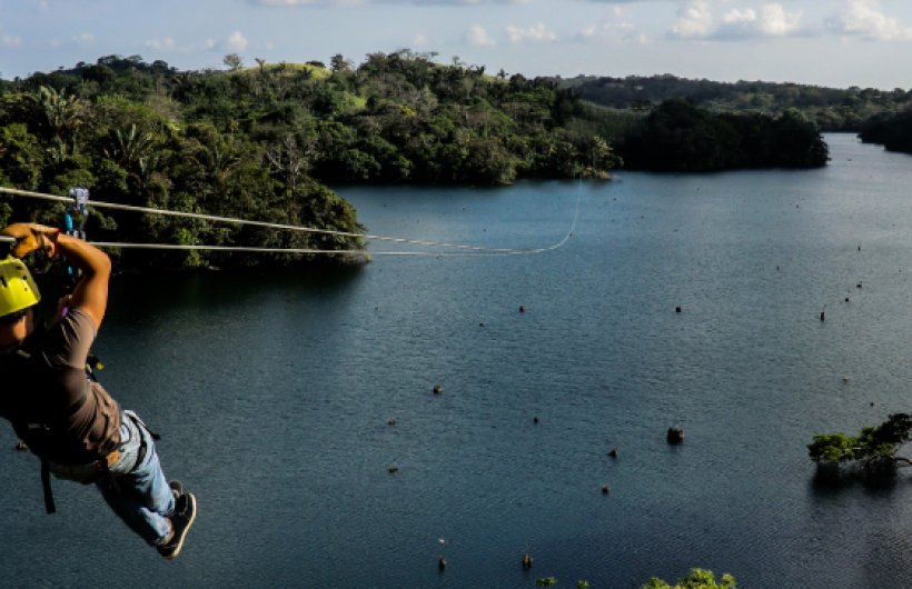 Paga $36: Canopy Tour