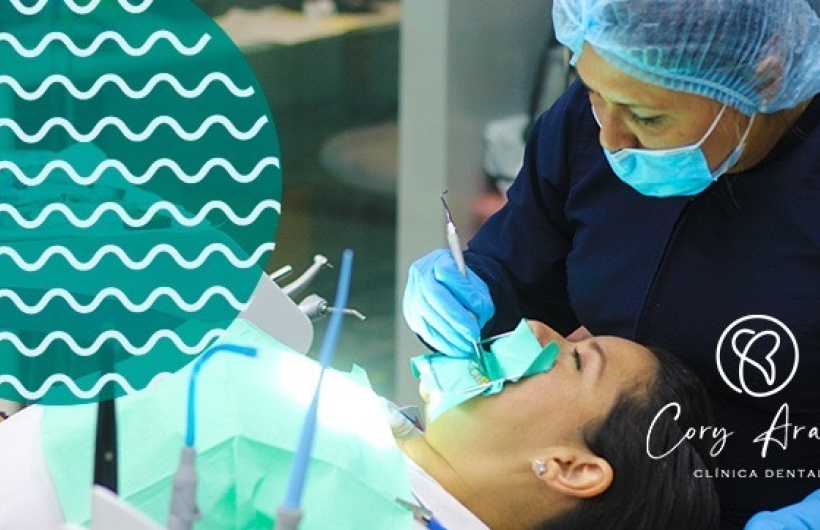 Desde $24.99: Servicios Dentales