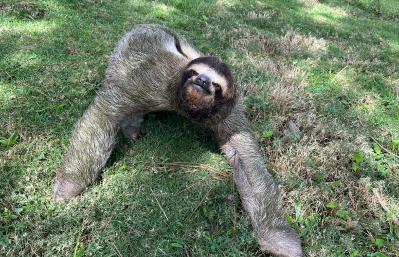Desde $140: Estadía en Cerro Azul
