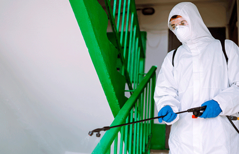 Desde $25: Servicio de Fumigación