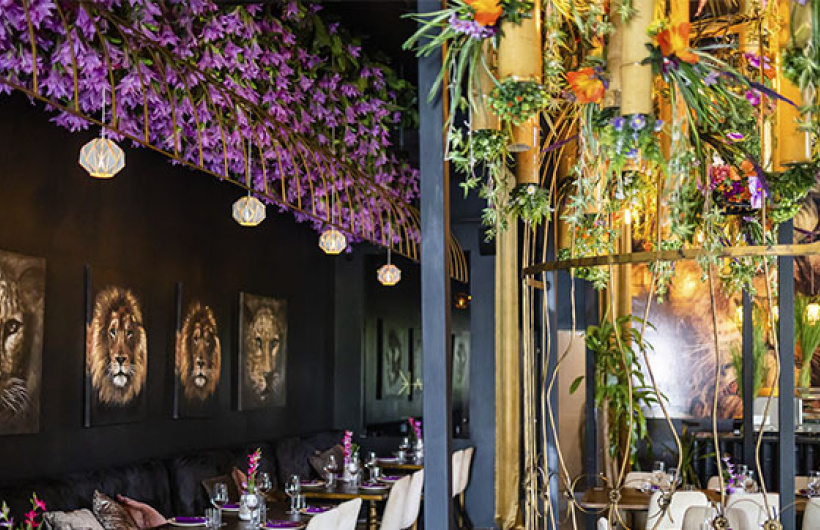 Paga $15: Comida Internacional Gourmet