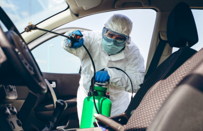 Desde $12: Servicio de Fumigación
