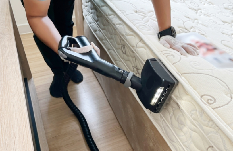 Desde $20: Limpieza de Sofás, Sillas o Colchones