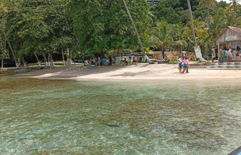 Paga $20: Tour a Isla Mamey
