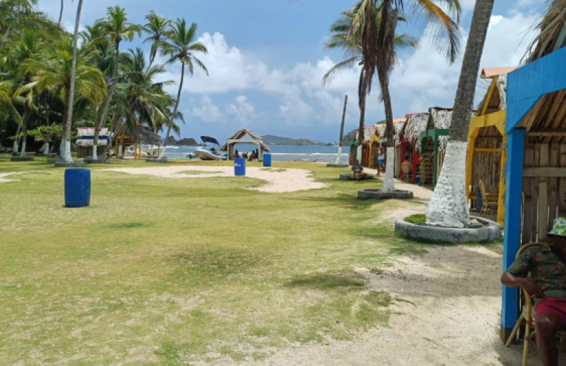 Paga $20: Tour a Isla Mamey