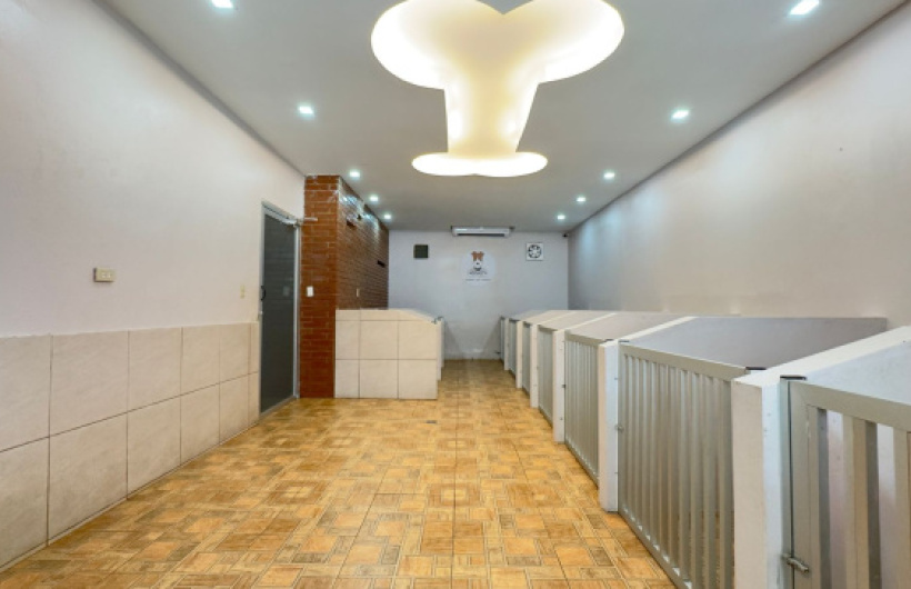 Desde $5: Baño y Estadía Para Perros