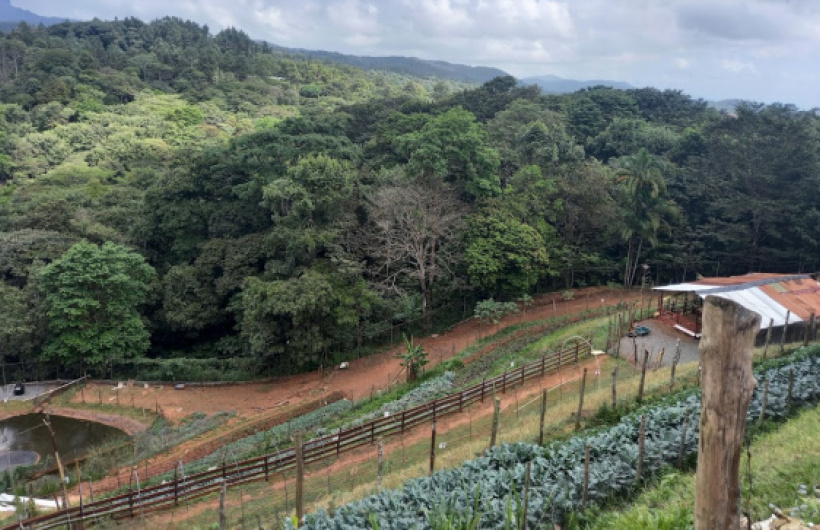 Desde $10: Granja de Contacto