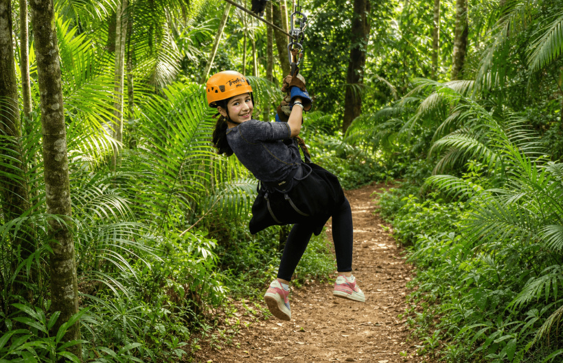 Paga $49: Tour de Canopy