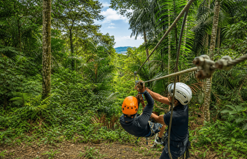 Paga $49: Tour de Canopy