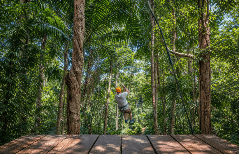 Paga $49: Tour de Canopy