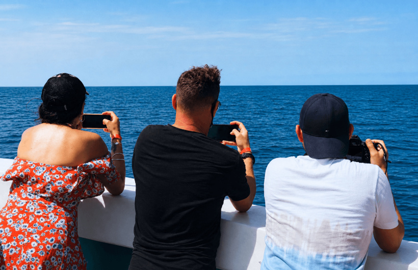 Desde $75: Tour de Avistamiento de Ballenas