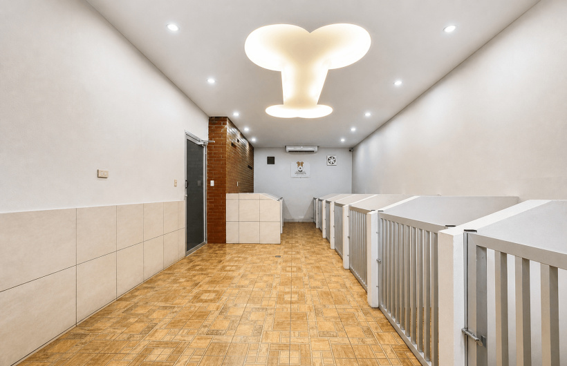 Desde $11: Baño y Guardería Para Perros