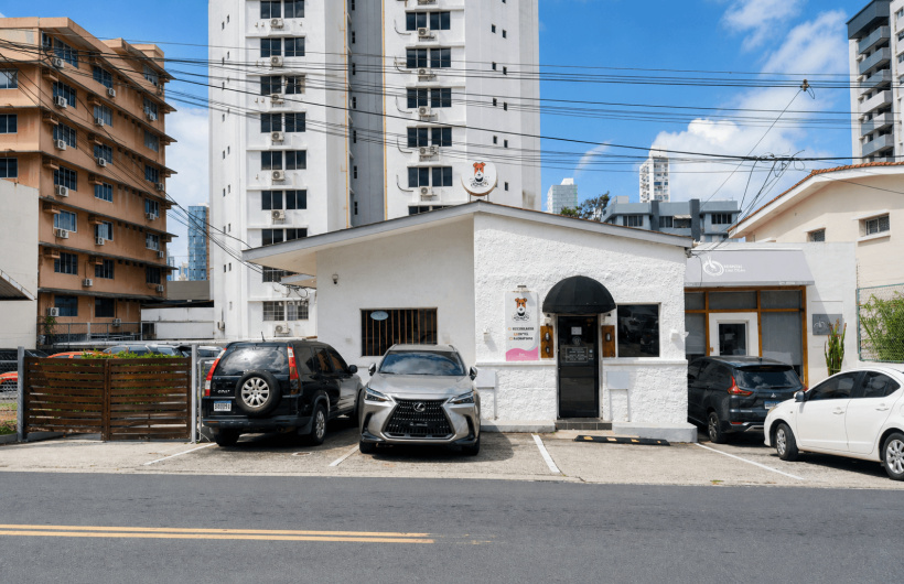 Desde $11: Baño y Guardería Para Perros