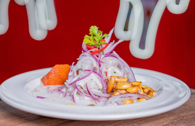 Paga $20: Comida Peruana