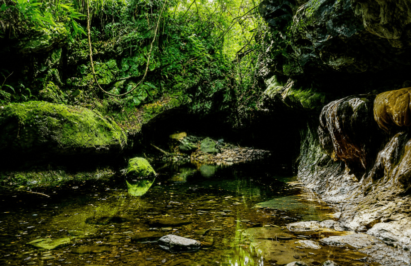 Paga $35: Tour a las Cuevas de Bayano